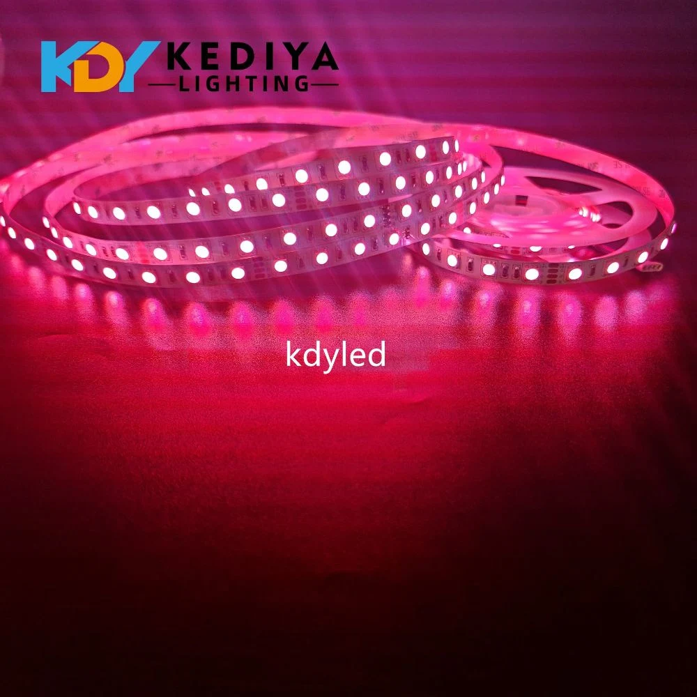 SMD 5050 RGB LED Strip 5m 60LED DC 24V RGB Fita LED Light Strips Flexi