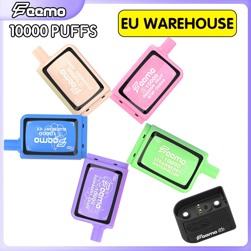 Fast Shipping German Warehouse Stock Feemo TV10000 Type-C Disposable E Cigarette Pod Kit