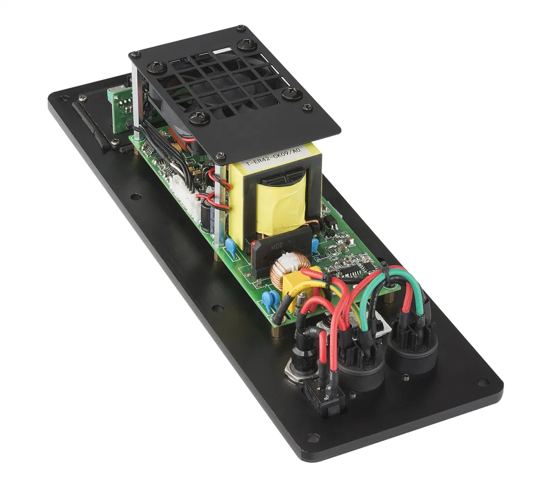 Cvr Power Amplifier Module P2900DSP Class D