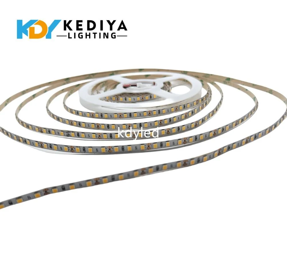 LED Strip 2835 DC 12V Cold White 5 Meter Flexible Light Strip 60LED/Mled Tape Luces Lamp Ribbon TV Backlight