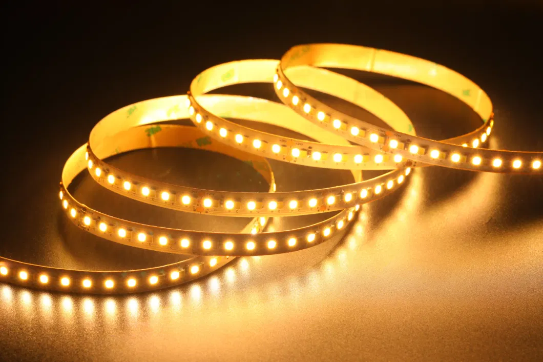 High Lumen Waterproof White CCT Flexible LED Strip Light TV Backlight Decoration Light