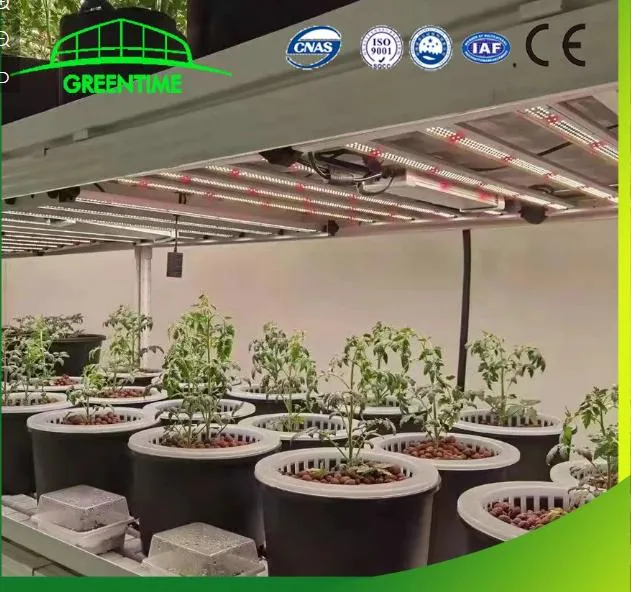 Wholesale Horticulture Lighting for Commercial Growers 1000W LED Grow Lights Lamp