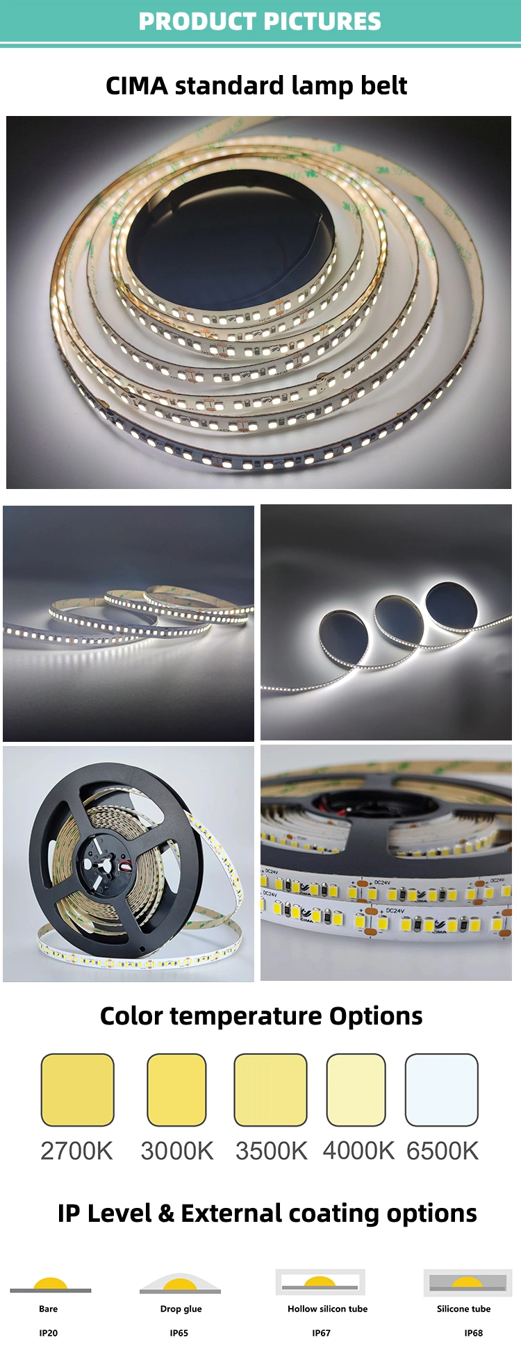 Provide High Quality DC24V SMD2835 6000K 120LEDs Per Meter LED Flexible Strip Light