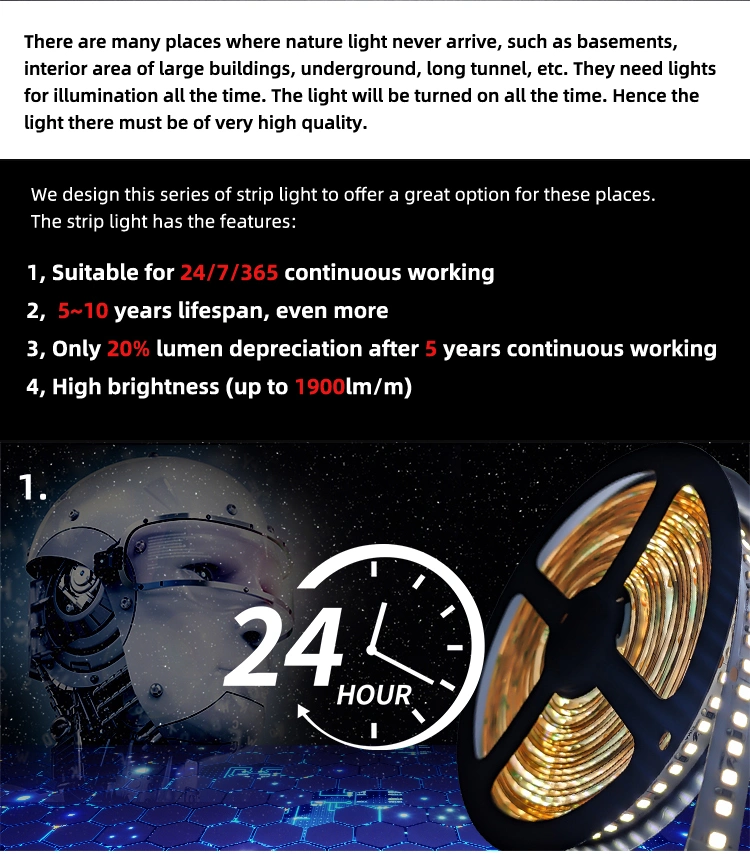 Provide High Quality DC24V SMD2835 6000K 120LEDs Per Meter LED Flexible Strip Light