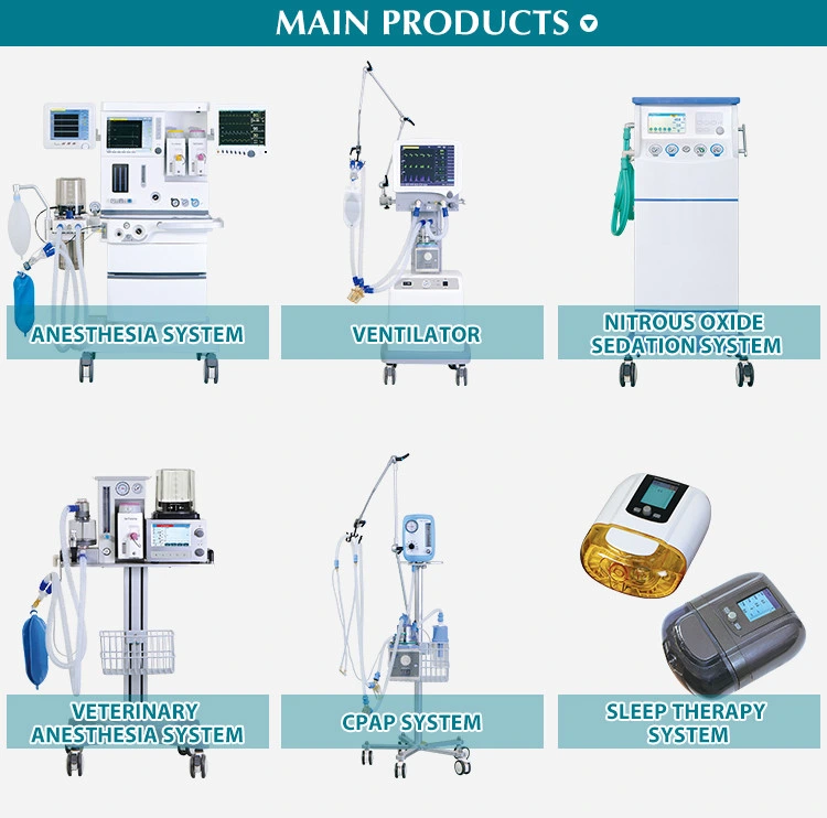 Dm6a Anesthesia Machine Veterinary Use Animal Within 200kg