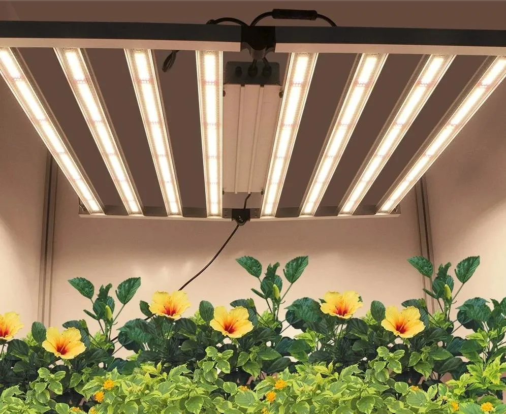 Wholesale Horticulture Lighting for Commercial Growers 1000W LED Grow Lights Lamp