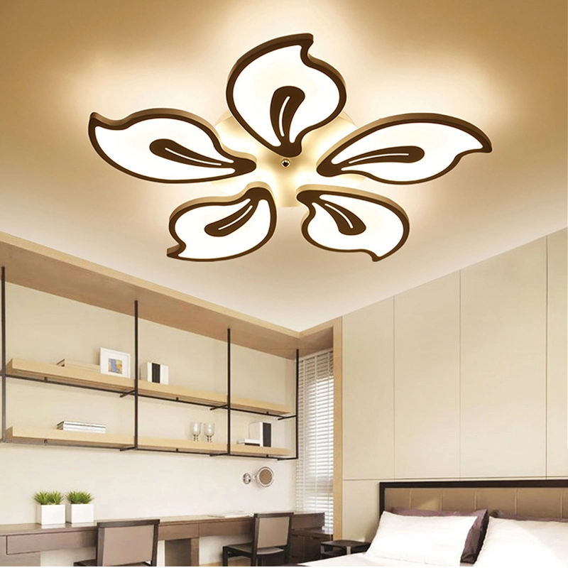 Fancy Acrylic Ceiling Lights for Bedroom Living Room Ceiling Lamp (WH-MA-53)