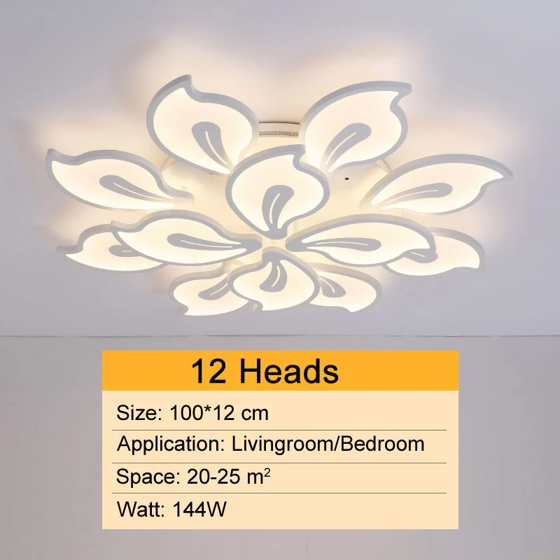 Fancy Acrylic Ceiling Lights for Bedroom Living Room Ceiling Lamp (WH-MA-53)