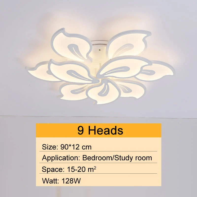 Fancy Acrylic Ceiling Lights for Bedroom Living Room Ceiling Lamp (WH-MA-53)