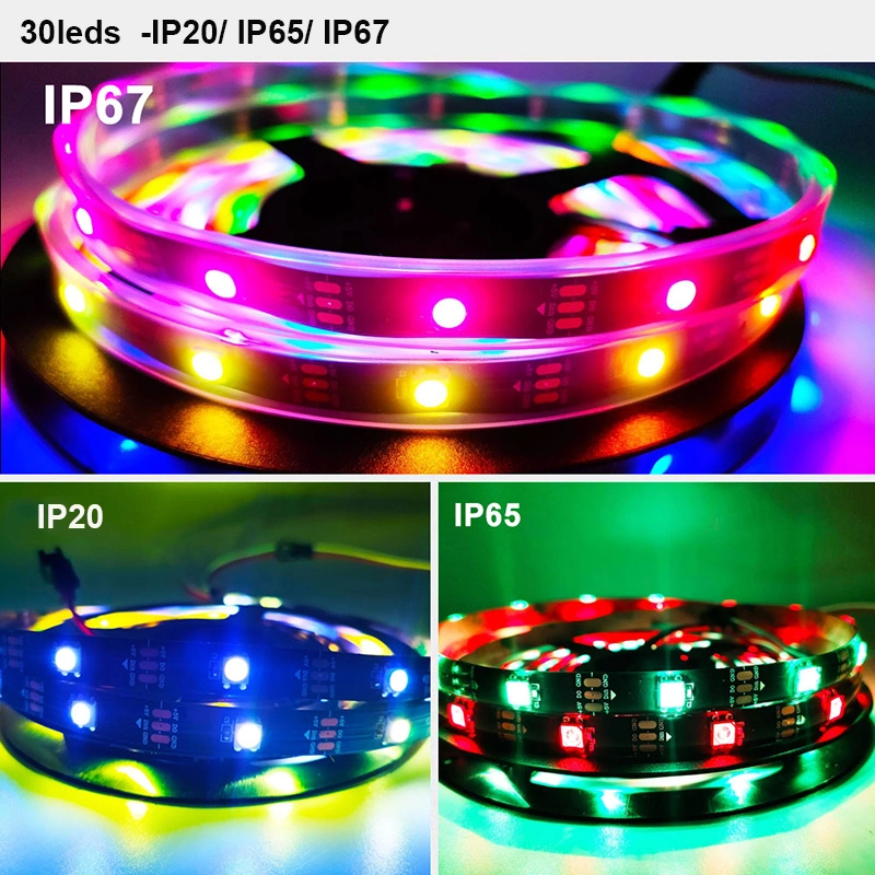 Addressable Lights DMX Pixel Light 5050 Ws 2812 Ws2815 5V RGB RGBW Flexible Neon LED Strip Dreamcolor Kit