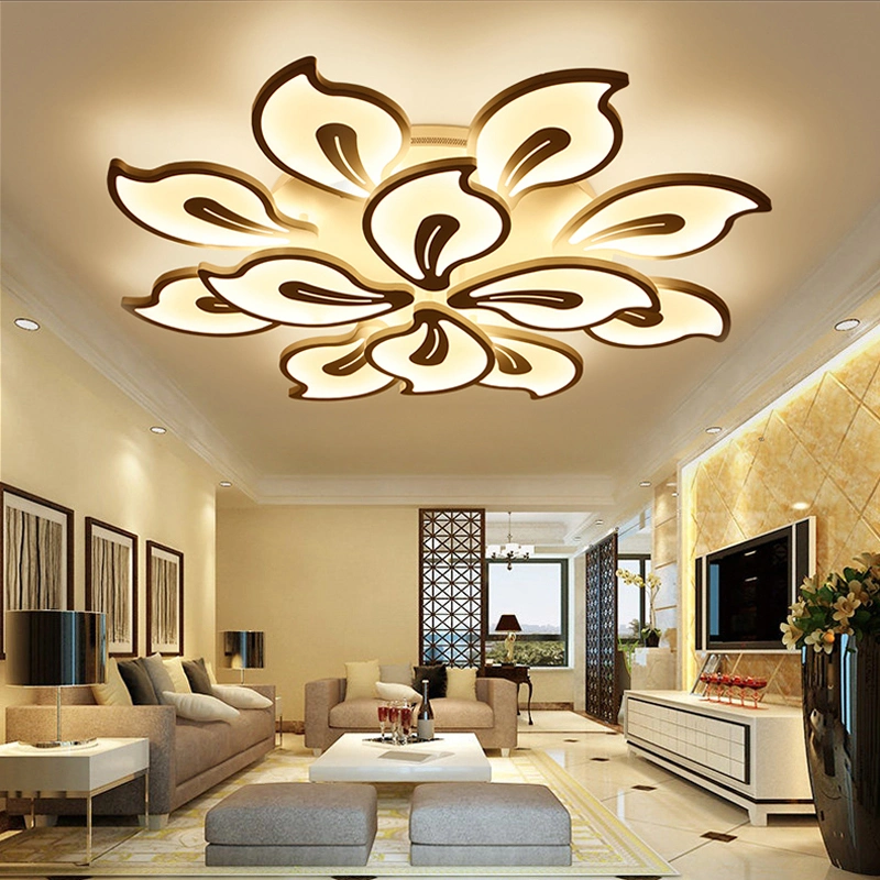 Fancy Acrylic Ceiling Lights for Bedroom Living Room Ceiling Lamp (WH-MA-53)