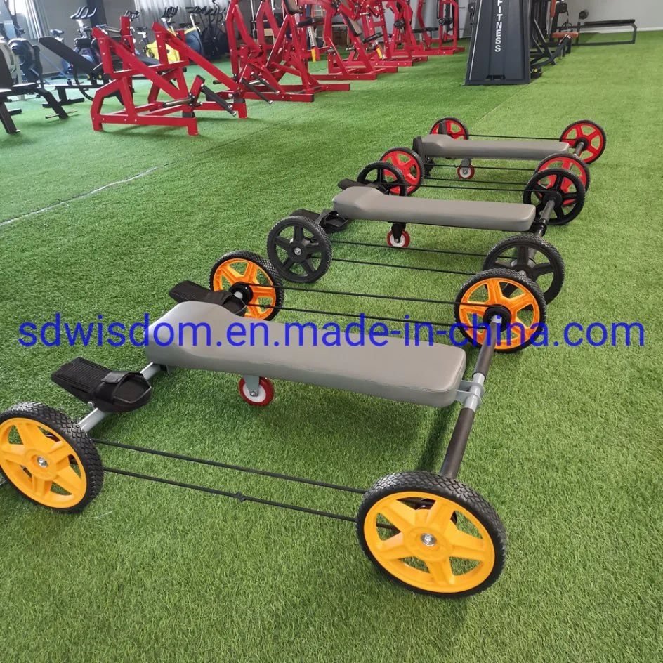 Body Building Commercial Fitness Equipment Frog Fitness Machine