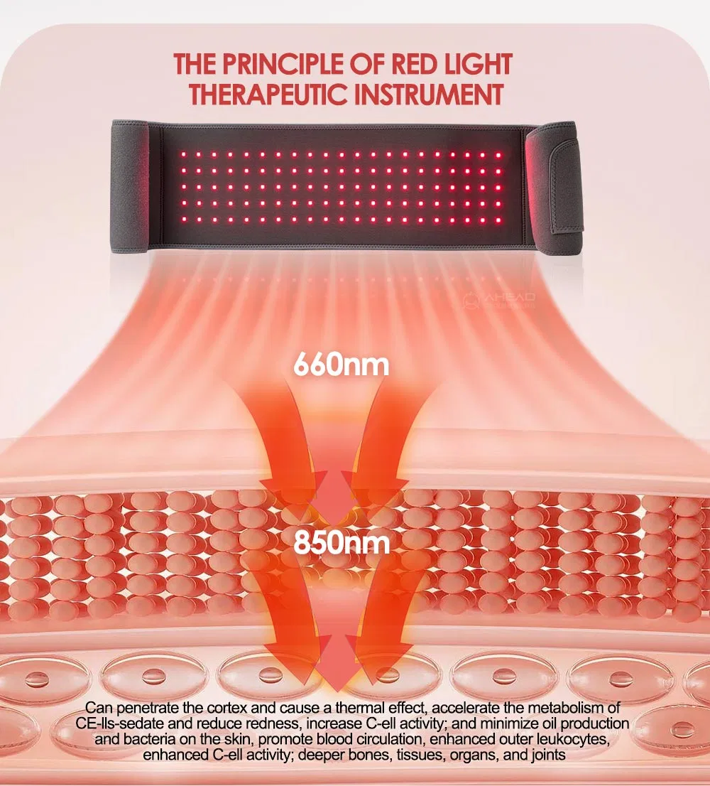 OEM/ODM Near Infrared Light Therapy Devices LED Red Light Therapy Belt 660nm 850nm Red Light Therapy Band