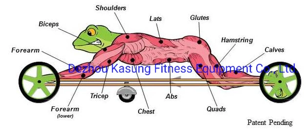 2019 Newest Crossfit Frog Fitness Equipment for Fitness Club (SA56-B)