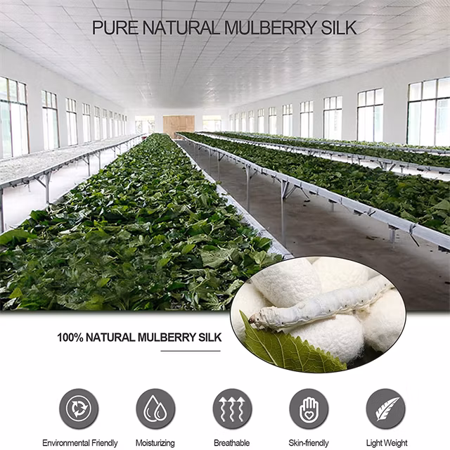 New Design 100%Silk Mulberry Skin Care Fabric Luxury Silk Headband Women Hair Accessory