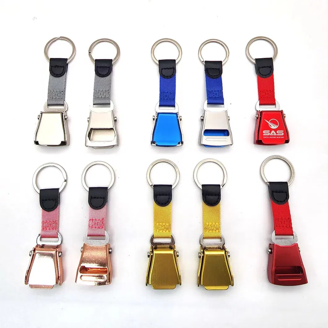 Frosted Alu Multi Color Buckle Key Chain