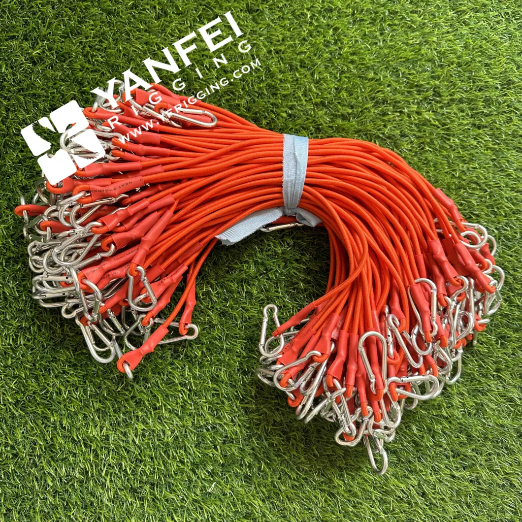 Hot Sale Bungee Cord with Hook for Fix Cargo