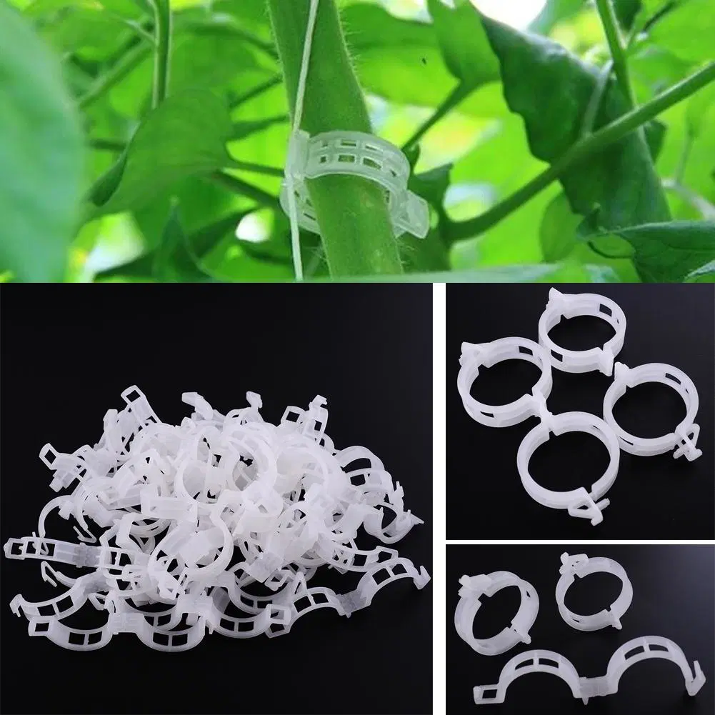 Plant Support Clips Vine Garden Vegetables 23mm for Types Plants*Hanging Plastic