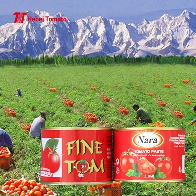 Fine Tom Brand Canned Tomato Paste Exporter 2.2 Kg China Supplier