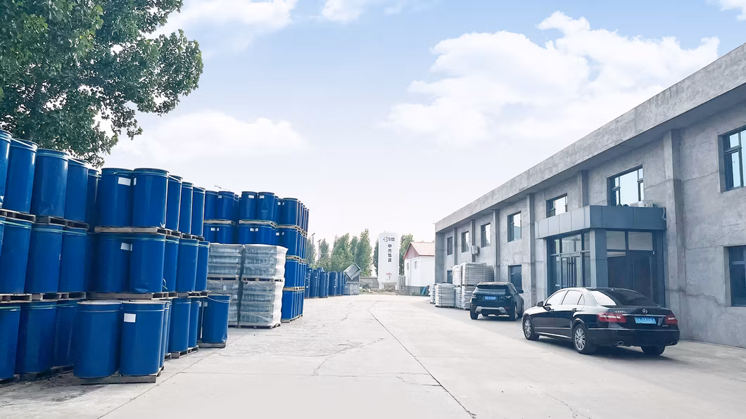 Best Quality Canned Tomato Paste with High Fresh Red Color OEM Brand