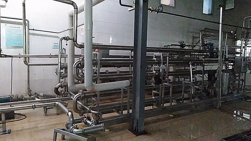 Best Quality Canned Tomato Paste with High Fresh Red Color OEM Brand