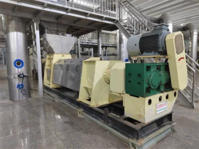 Economical High Efficiency Factory Direct Supply Automatic Gellan Gum Making Equipment