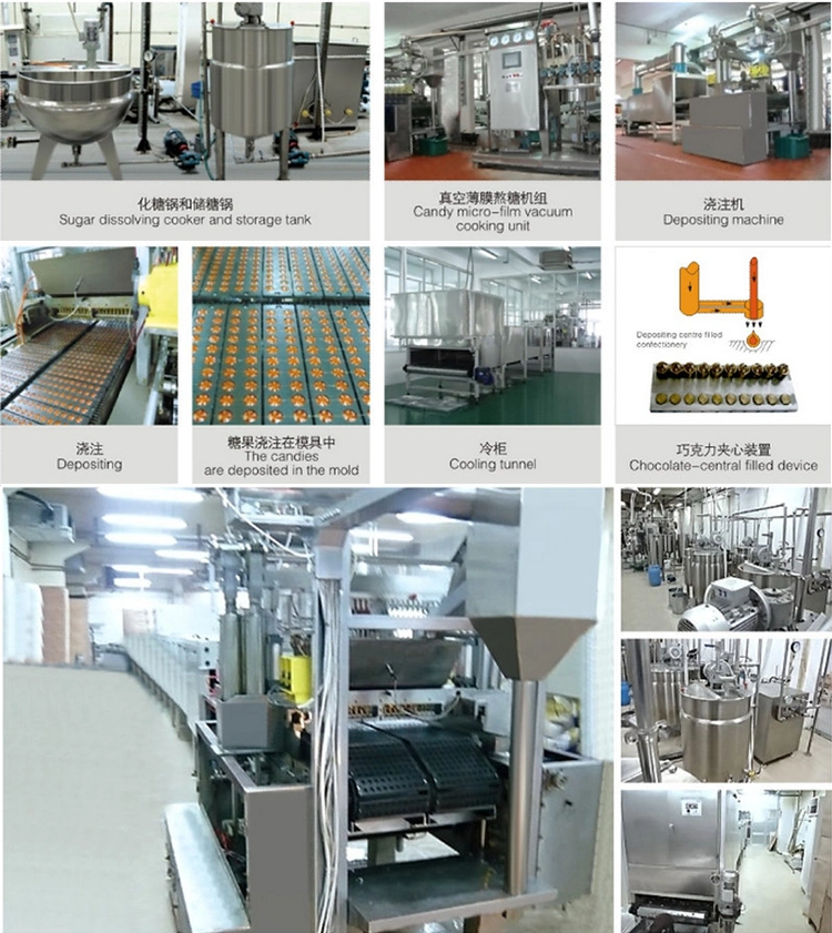 Automatic Stainless Steel Vitamin Soft Candy Gum and Gelatin Production Line Bear Jelly Candy Making Machine