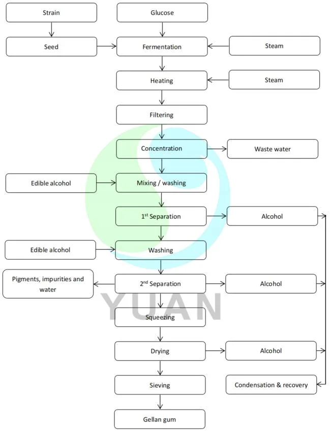 ISO High Performance Low Consumption Factory Directly Supply Gellan Gum Making Equipment