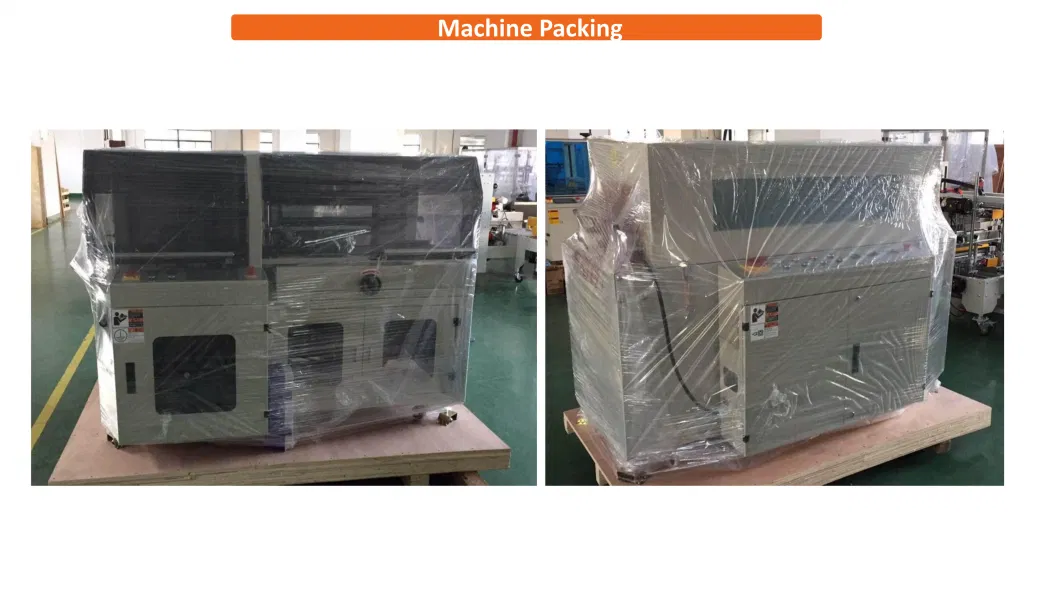 Pizza Box Shrink Wrap Packaging Machinery / Confectionery Cosmetic DVD Box Shrink Wrap Tunnel Packing Machine