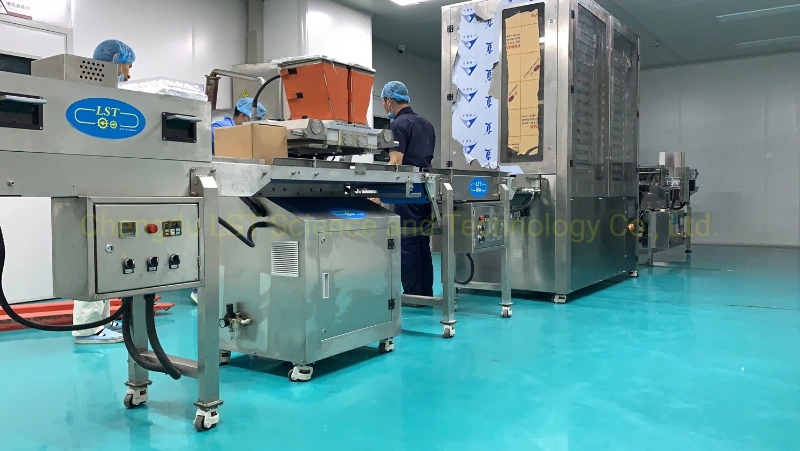 High Quality Chocolate Electric Senior Gummy Bear Machinery