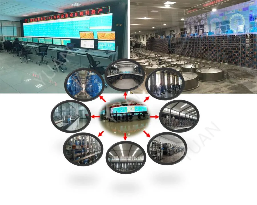 High Quality Automatic Low Consumption Industrial Customized Gellan Gum Making Equipment