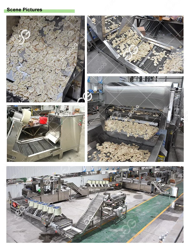 500kg/H High Quality Sweet Snack Banana Processing Plant Philippines Banana Chips Making Machine Automatic