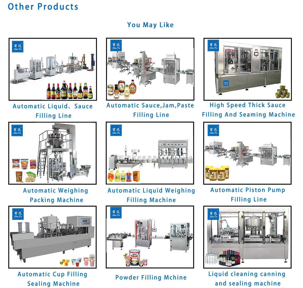 CE Approved Chocolate Beans Potato Chips Weighing Filling Multifunction Pouch Filling Machine