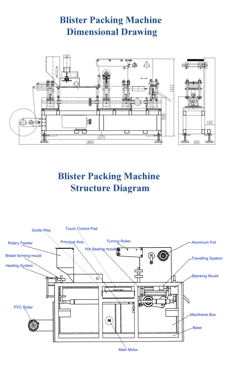 China Shanghai Hot Sale Tablet Capsule Pill Tablet Candy Packaging Machinery Automatic Big Blister Packing Machine