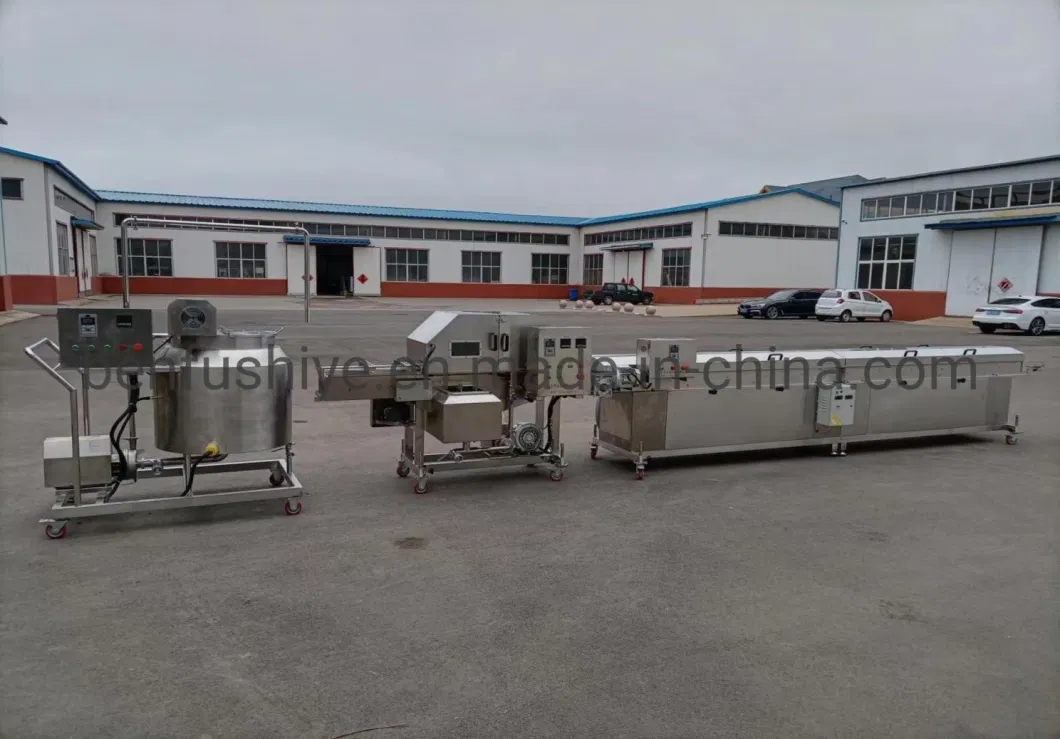 China Professional Small Chocolate Bar Peanut Date Snack Food Making Coating Enrobing Machine