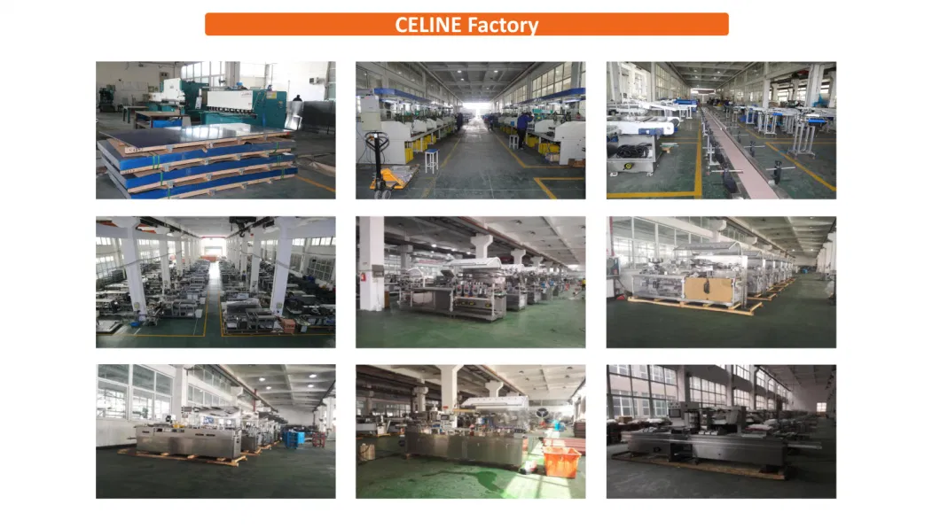 Pizza Box Shrink Wrap Packaging Machinery / Confectionery Cosmetic DVD Box Shrink Wrap Tunnel Packing Machine