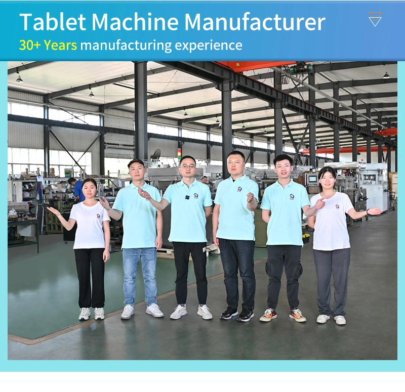 Easy-to-Use Tablet Press Machine for Small-Scale Production Line