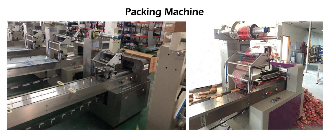 Skywin Complete Cookie Machine and Production Line Biscuit Ligne De Production