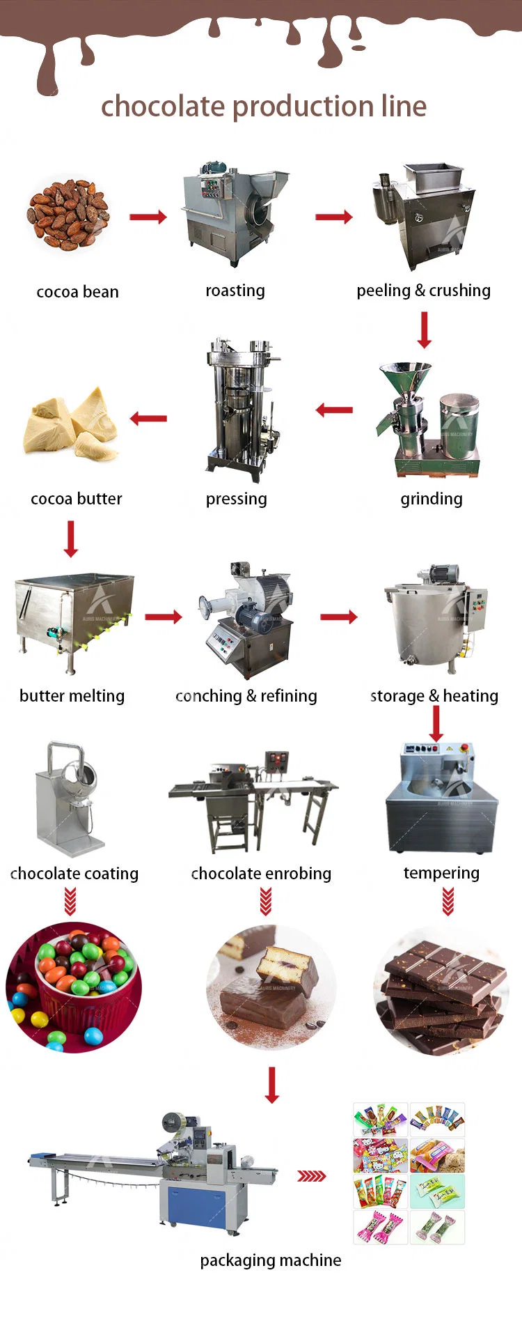 Bean to Bar Chocolate Making Chocolate Processing Machinery for Factory Use