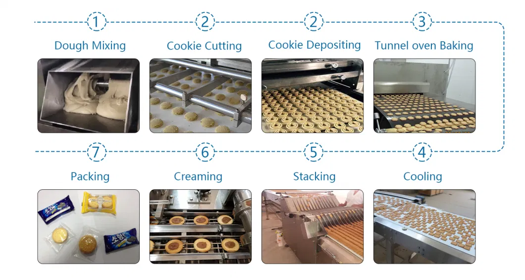 Skywin Complete Cookie Machine and Production Line Biscuit Ligne De Production