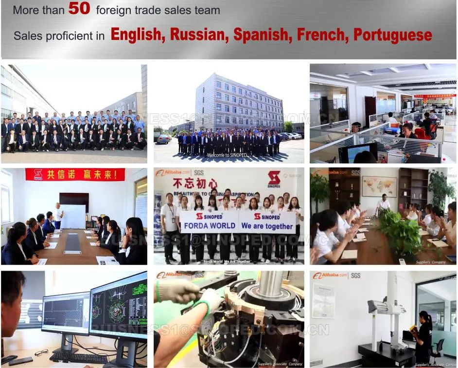 China Factory Best Price Rotary Herb Milk Candy Double Color Powder Pill Making High Speed Rotary Tablet Press Machine