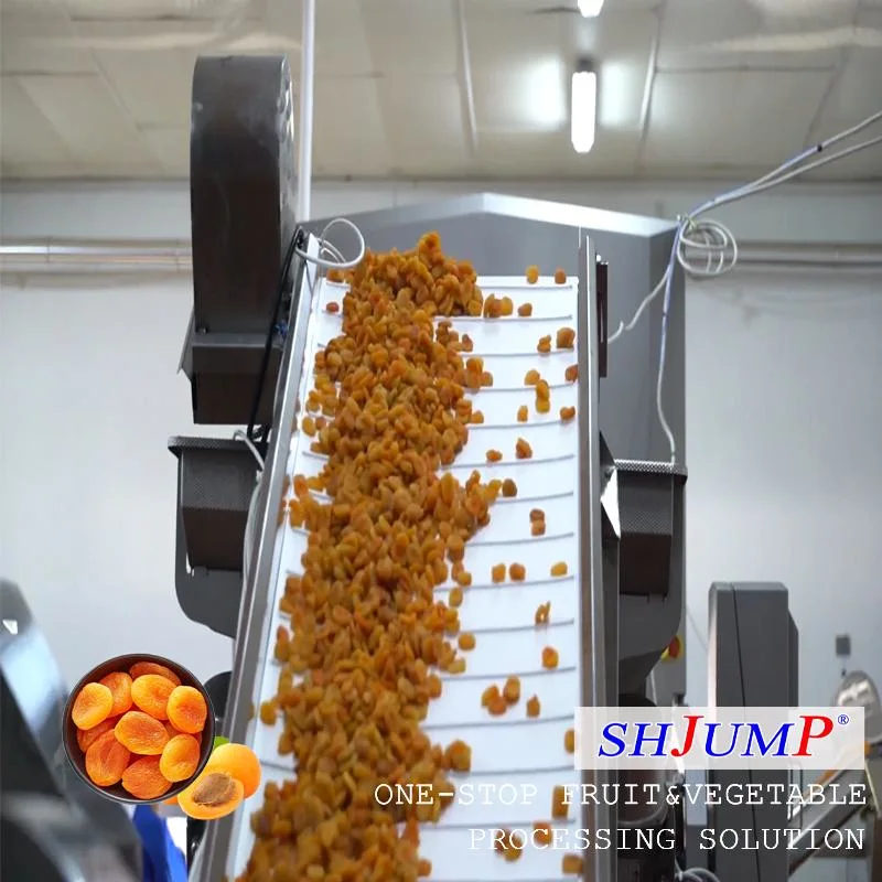 300-800kg/H Candied Fruit Processing Line Sugared Plum Making Machines and Packaging Machines