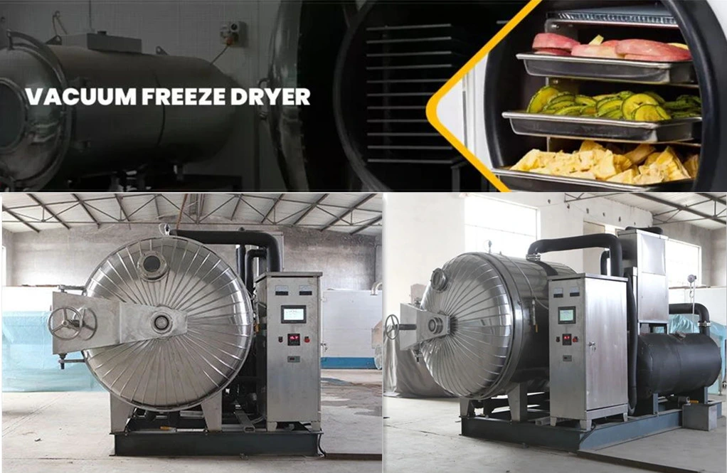 Freeze Drying Machines for Food and Candy Factory Price Vegetable and Sugarcane