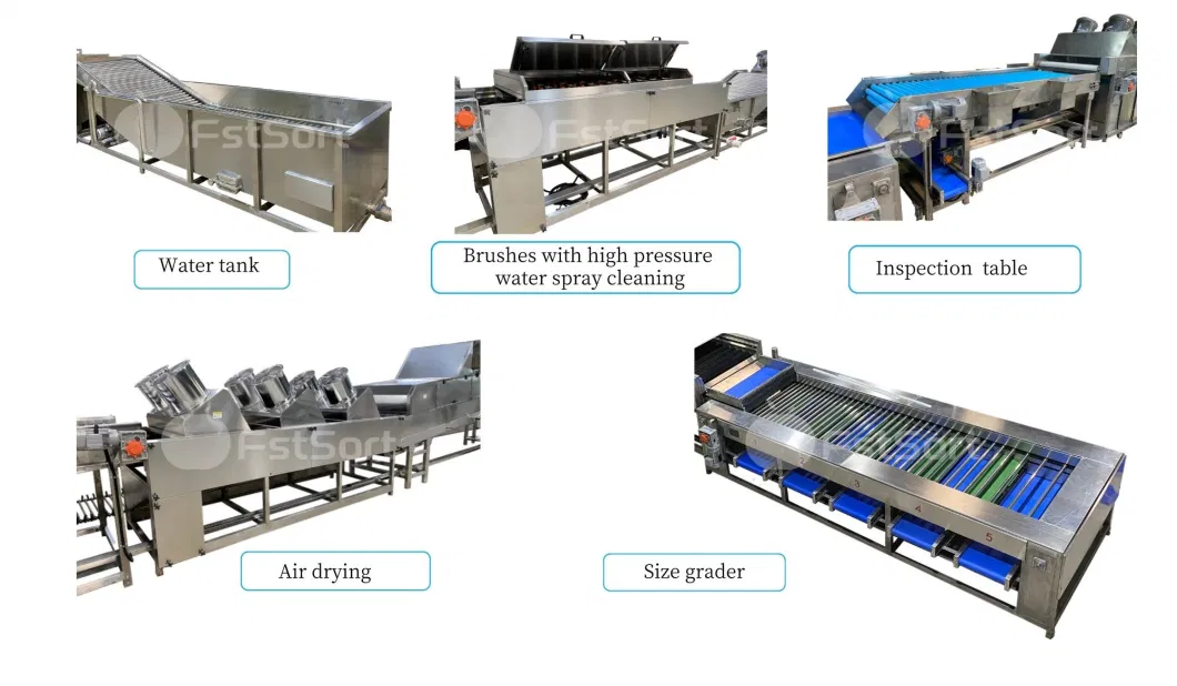 Potato Sorting Machine/ Potato Sorting Grading Machine/Sweet Potato Sorting Machine/Vegetable Sorting Machine