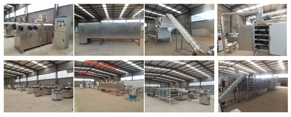 Commercial Chocolate Covered Enrobing Machinery Cooling Tunnel Small Chocolate Coating Line