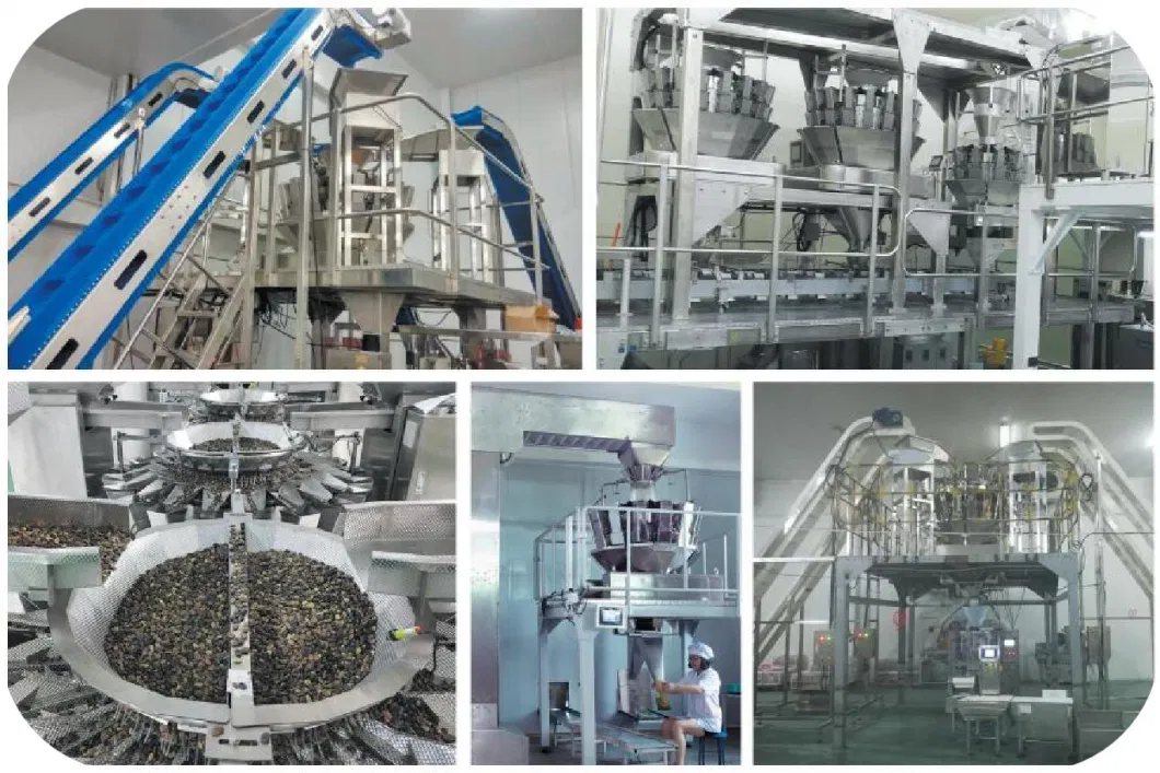 Doy Pack Multihead Weigher Peanut Candy Puffed Food Packing Machine