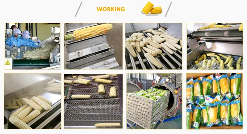 Wholesale Price Sweet Corn Deep Processing Production Line Corn Cutting and Peeling Machine for Selling