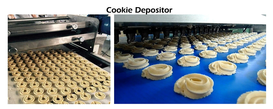 Skywin Complete Cookie Machine and Production Line Biscuit Ligne De Production