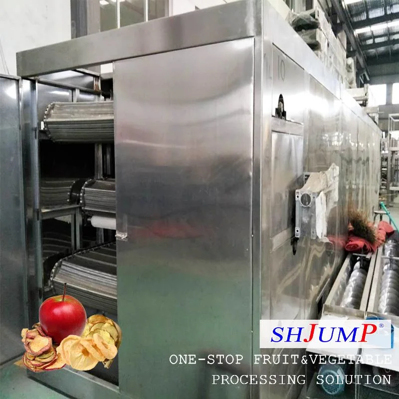 High-Quality Commercial Candied Cherry Tomato Processing Line Machine