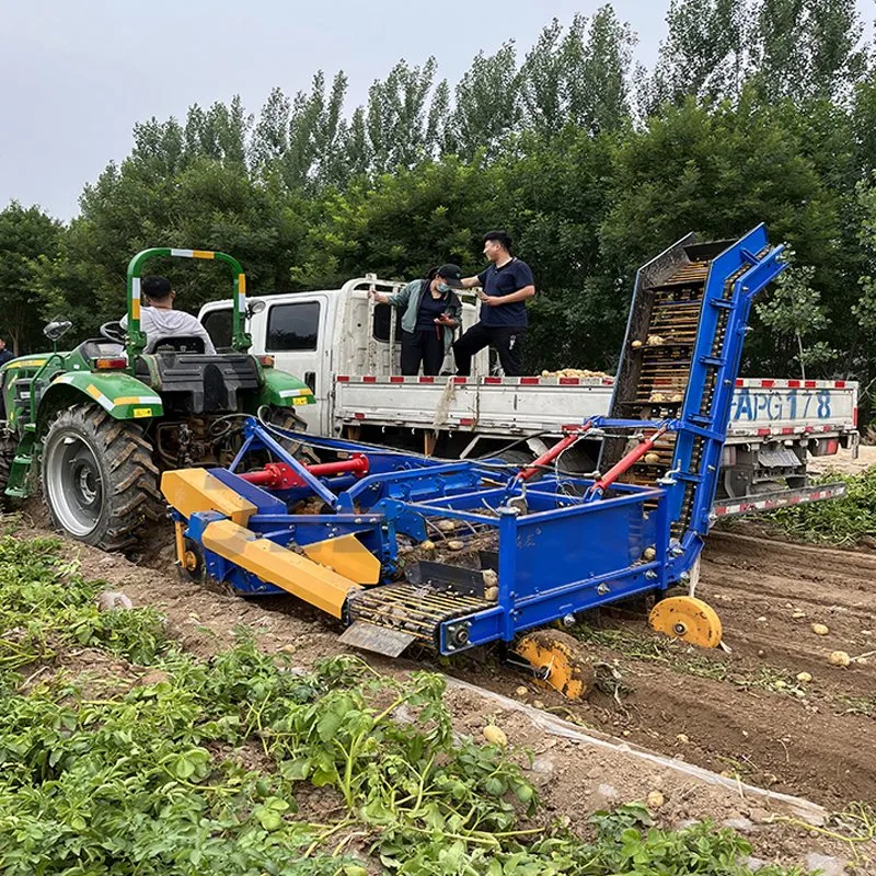 Combine Tractor Pto Driven Sweet Potato Carrot Digger Harvester Machine